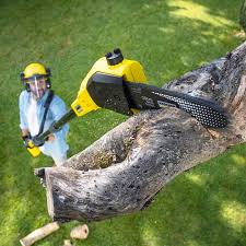 Best Tree Maintenance Programs  in Twin Lakes, VA